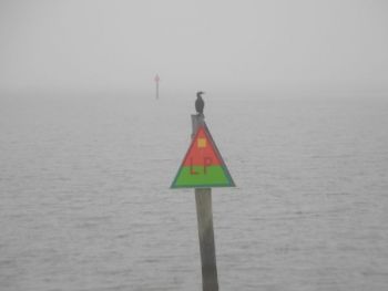Which way do we go? You better know RIGHT NOW! Whether it's foggy or sunny. Navigation Notes To Keep You On Course