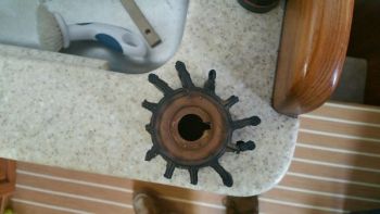Ruh-Roh! This impeller is missing a few vanes. We must find and remove them to allow the water to flow with ease as it cools all the engine components. Impeller Trouble Shooting